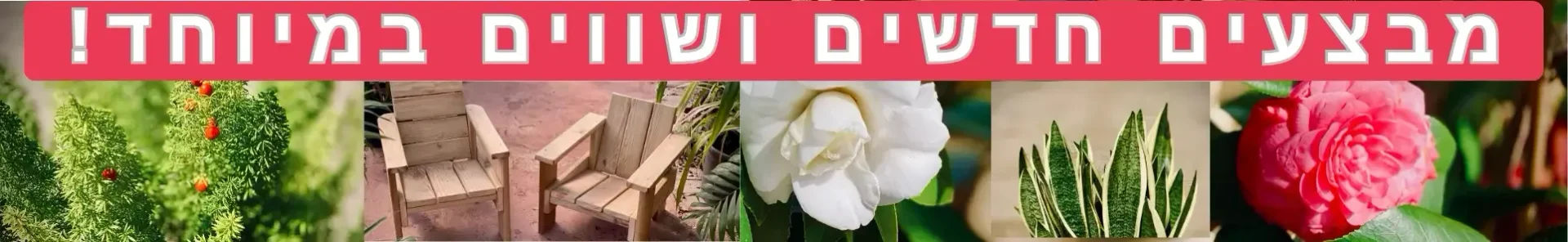 מבצעים חדשים ושווים במיוחד באתר!